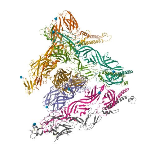 RCSB PDB - 8DAQ: CryoEM structure of Western equine encephalitis virus VLP