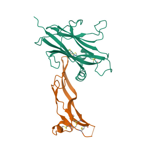 Zpc Structure RCSB PDB - 8DC0: Rat Betaglycan Zona Pellucida Domain (ZPC) in complex ...