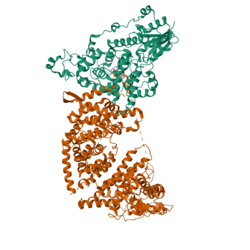 TKGページ RCSB PDB - 8DD7: The Cryo-EM structure of Drosophila Cryptochrome