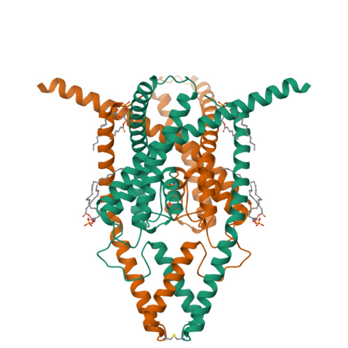 RCSB PDB - 8DE8: Cryo-EM structure of the zebrafish two pore