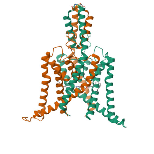 RCSB PDB - 8DE9: Cryo-EM structure of the zebrafish two pore domain K+ ...