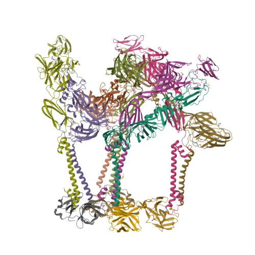 RCSB PDB - 8DEE: Asymmetric Unit of Western Equine Encephalitis Virus