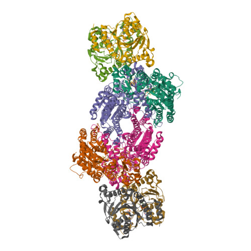 RCSB PDB - 8DFD: CryoEM structure of the 2:1 ADP