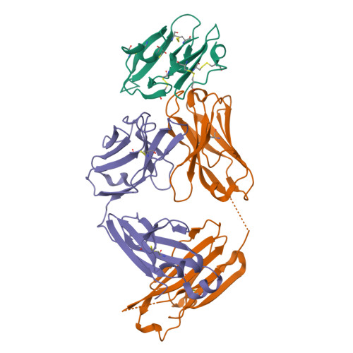 RCSB PDB - 8DFI: Crystal structure of moderately neutralizing ...