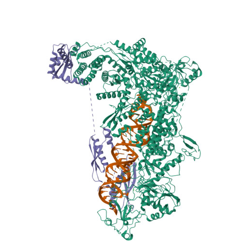 RCSB PDB - 8DFV: Structural Basis of MicroRNA Biogenesis by Dicer-1 and ...
