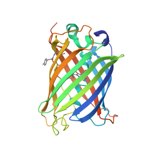 RCSB PDB - 8DHR: An ester mutant of SfGFP