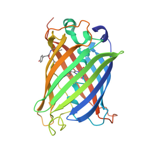 RCSB PDB - 8DHR: An ester mutant of SfGFP