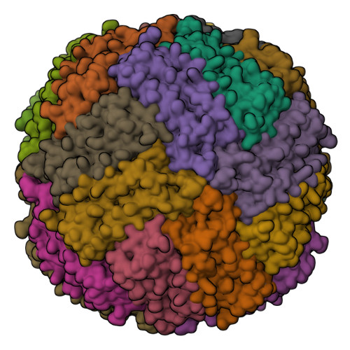 Rcsb Pdb Dhx Human Liver Ferritin