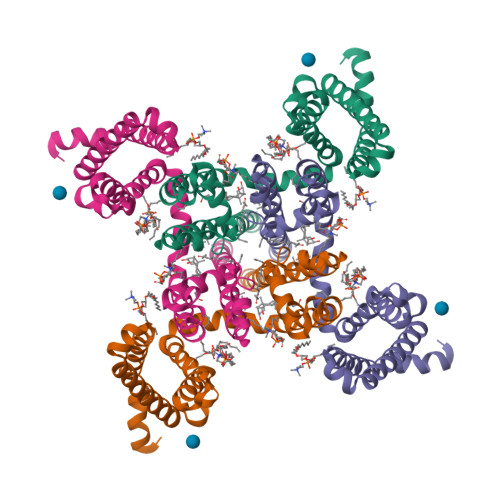 RCSB PDB - 8DIV: Crystal structure of NavAb I22V as a basis for the ...