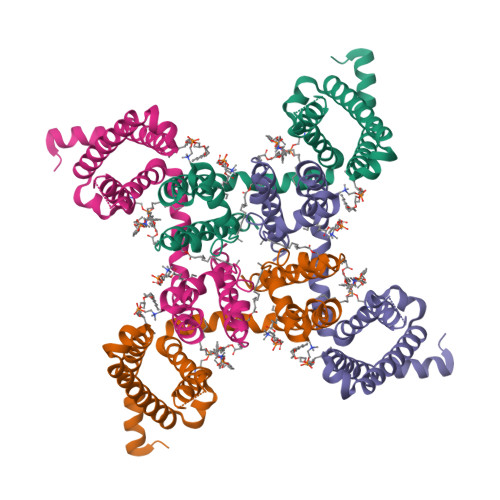 Rcsb Pdb 8diz Crystal Structure Of Navab I119t As A Basis For The