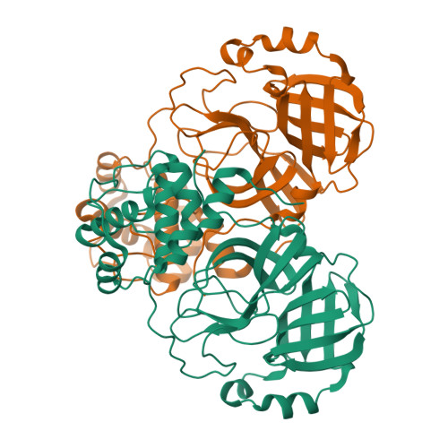 RCSB PDB - 8DKJ: Polymorphism In SARS-CoV-2 Nsp5 Main Protease Reveals ...