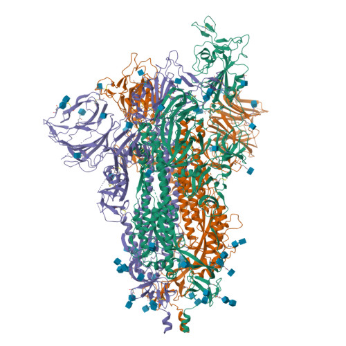 RCSB PDB 8DLI Cryo EM Structure Of SARS CoV 2 Alpha B 1 1 7 Spike