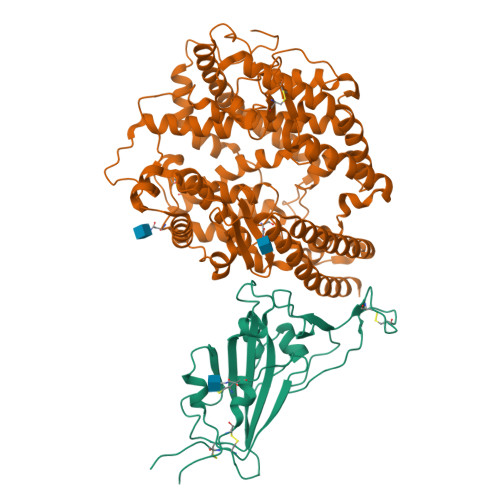 RCSB PDB - 8DMA: Cryo-EM Structure Of SARS-CoV-2 Omicron BA.1 Spike ...