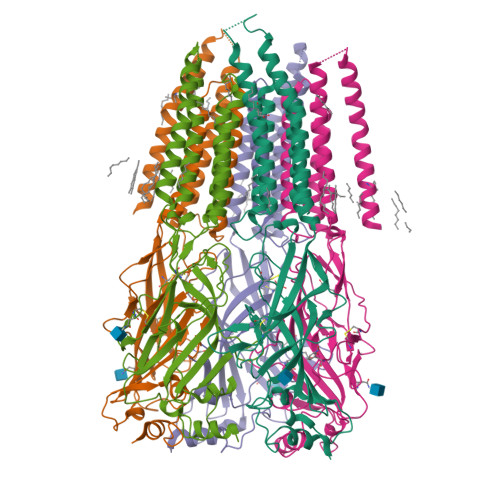 RCSB PDB - 8DN2: Cryo-EM structure of human Glycine Receptor alpha1 ...