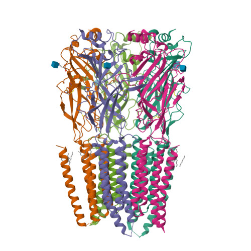 RCSB PDB - 8DN4: Cryo-EM structure of human Glycine Receptor alpha-1 ...