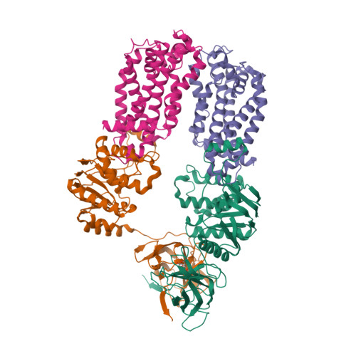 RCSB PDB - 8DN8: CryoEM structure of the A. aeolicus WzmWzt 