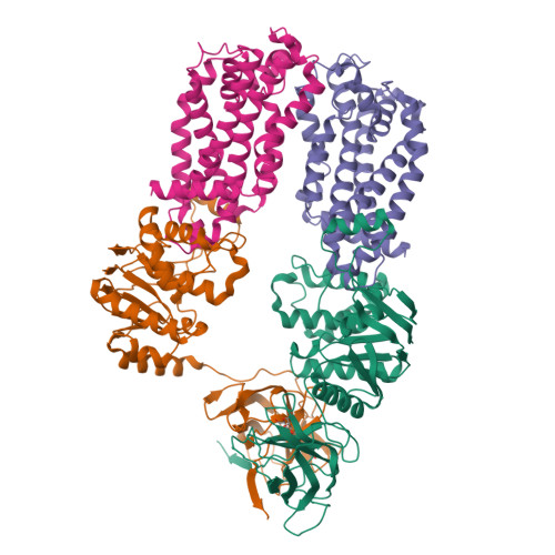 RCSB PDB - 8DN8: CryoEM structure of the A. aeolicus WzmWzt 