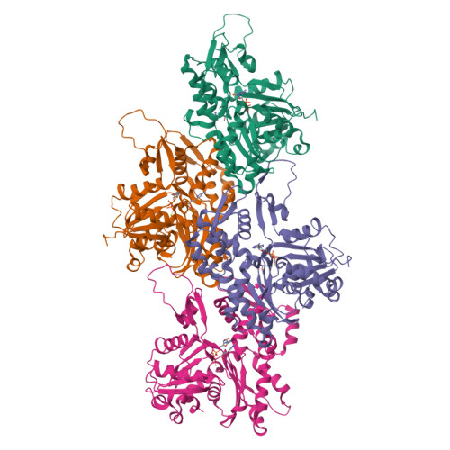 RCSB PDB - 8DNH: Cryo-EM Structure Of Nonmuscle Beta-actin