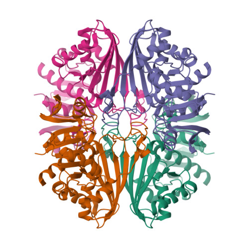 RCSB PDB - 8DNS: Human Brain Glyceraldehyde 3-phosphate Dehydrogenase