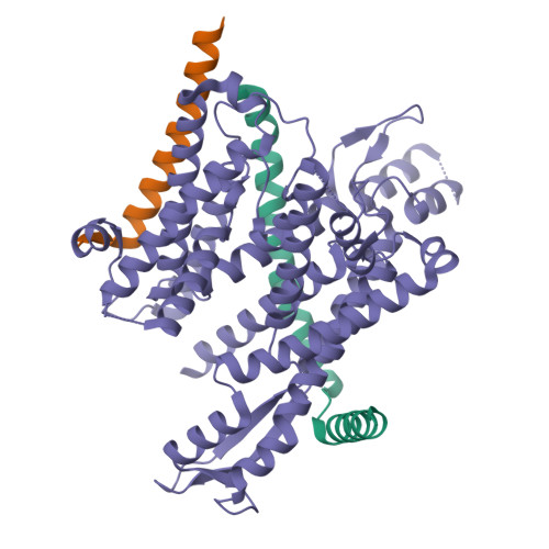 RCSB PDB - 8DNW: Cryo-EM structure of the human Sec61 complex in a ...