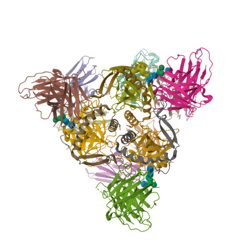 RCSB PDB - 8DPL: Structure of EBOV GP lacking the mucin-like domain ...