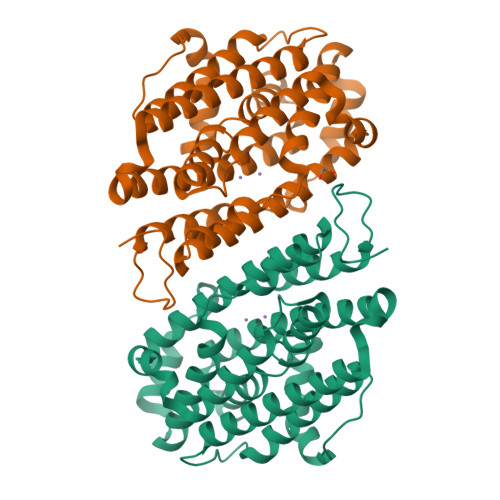 RCSB PDB - 8DQ3: X-ray crystal structure of Aggregatibacter ...
