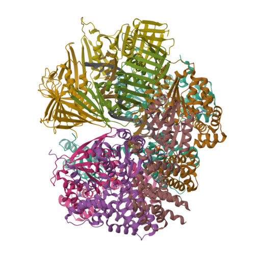 rcsb-pdb-8dr0-closed-state-of-rfc-pcna-bound-to-a-3-ss-dsdna-junction