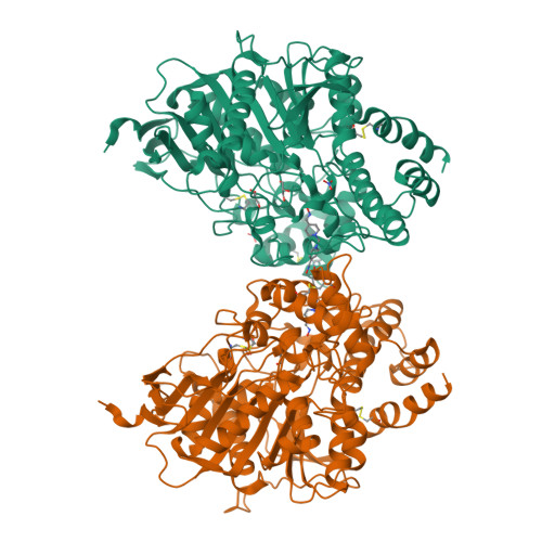 RCSB PDB - 8DT7: X-ray Structure Of Human Acetylcholinesterase In ...