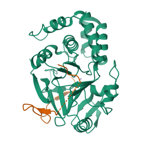 PDB 8DWK