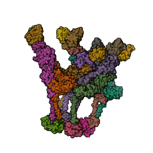 RCSB PDB - 8DWX: Chikungunya VLP in complex with neutralizing Fab 506 ...