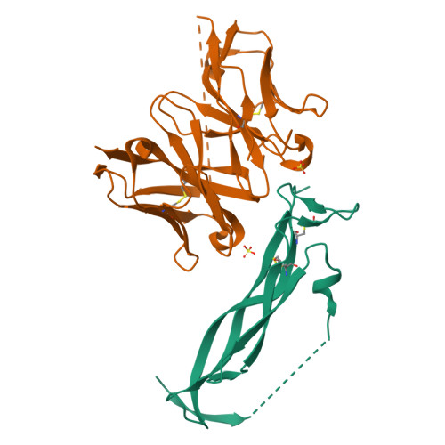 RCSB PDB - 8DY1: Crystal Structure Of ScFv CAT2200 LH In Complex With ...