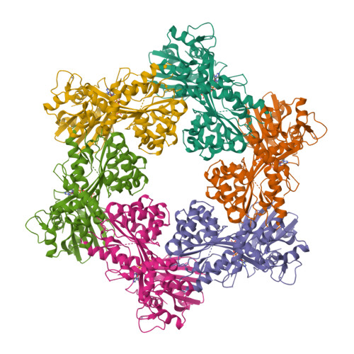 Rcsb Pdb 8dzf Cryo Em Structure Of Bundle Forming Pilus Extension Atpase From Li In The 7536