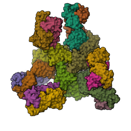 RCSB PDB - 8E1P: Crystal structure of BG505 SOSIP.v4.1-GT1.2 trimer in ...