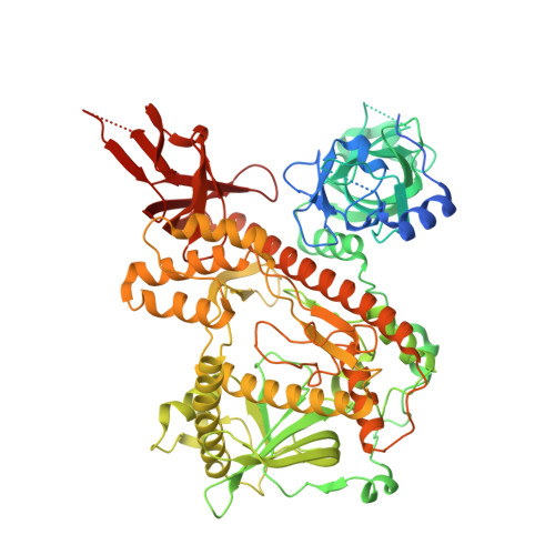 DIS3-like exonuclease 2 structure
