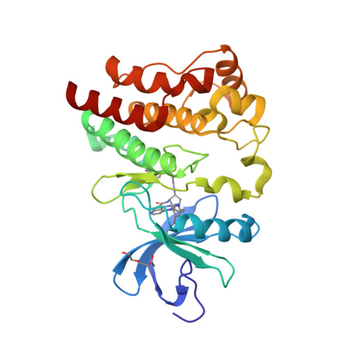 Rcsb Pdb E M Bruton S Tyrosine Kinase Btk With Compound