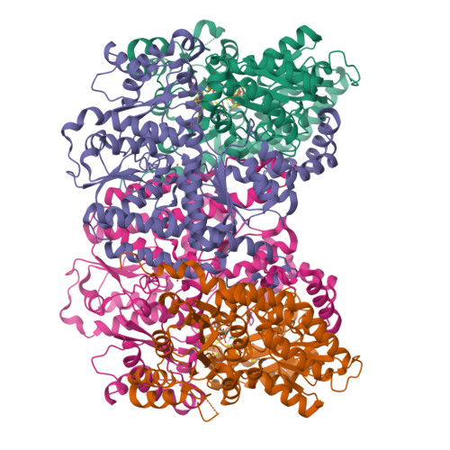 RCSB PDB - 8E3U: Nickel-reconstituted Nitrogenase MoFeP Mutant S188A ...