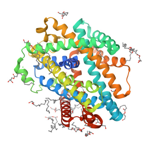 A Model for Manganese interaction with Deinococcus radiodurans