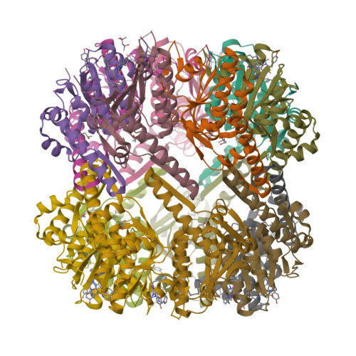 RCSB PDB - 8E7P: Staphylococcus aureus ClpP in complex with compound 3421