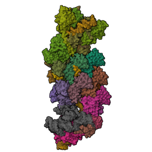 RCSB PDB - 8EA4: V-K CAST Transpososome from Scytonema hofmanni