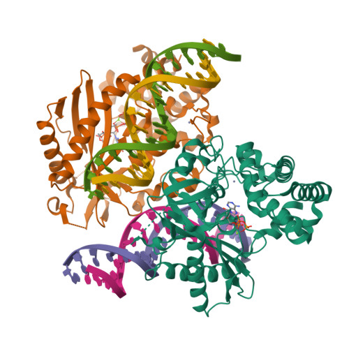 RCSB PDB - 8ECC: Structure of Ternary Complex of cGAS with dsDNA and ...