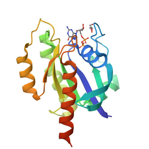 RCSB PDB - 8ECR: KRAS4b WT 1-185 bound to GDP-Mg2+