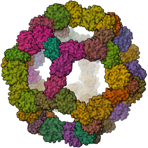 RCSB PDB - 8ED3: Structure of a nanoparticle with