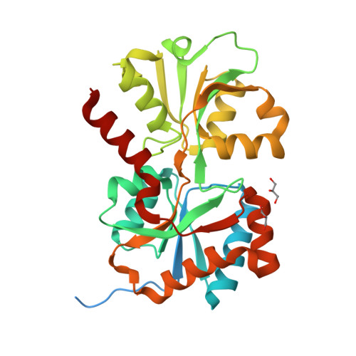 RCSB PDB - 8ED5: Crystal structure of loop deletion AioX mutant from ...