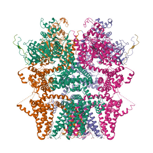 RCSB PDB - 8ED7: cryo-EM structure of TRPM3 ion channel in apo state