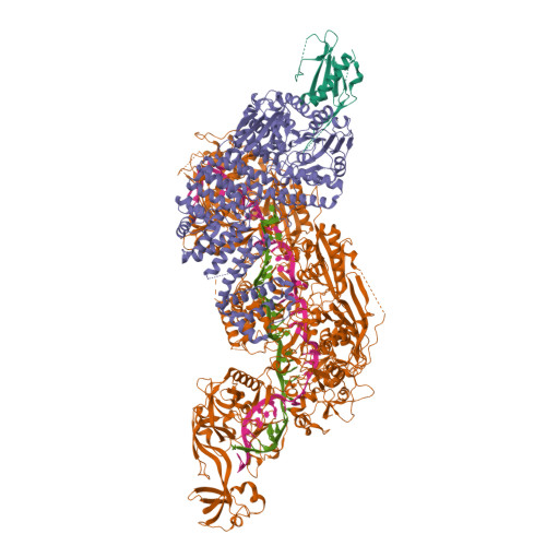 RCSB PDB - 8EEY: Cas7-11 In Complex With DR-mismatched Target RNA ...