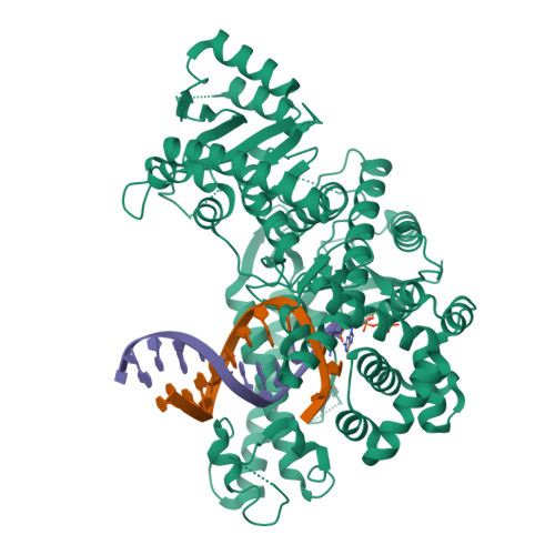 RCSB PDB - 8EF9: Structure of Lates calcarifer DNA polymerase theta ...