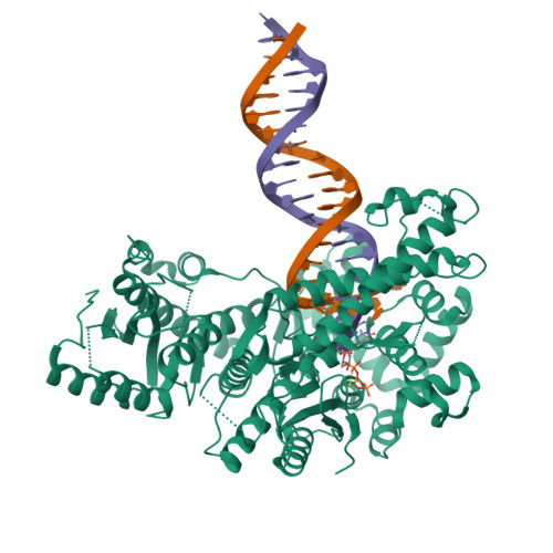 RCSB PDB - 8EFC: Structure Of Lates Calcarifer DNA Polymerase Theta ...