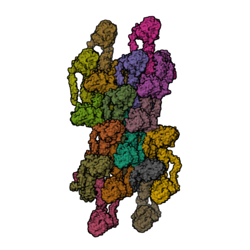 RCSB PDB - 8EFT: CryoEM of the soluble OPA1 interfaces from the apo ...