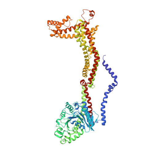 RCSB PDB - 8EFT: CryoEM of the soluble OPA1 interfaces from the apo ...