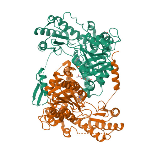 RCSB PDB - 8EIM: Structure of ALAS with C-terminal truncation from S ...